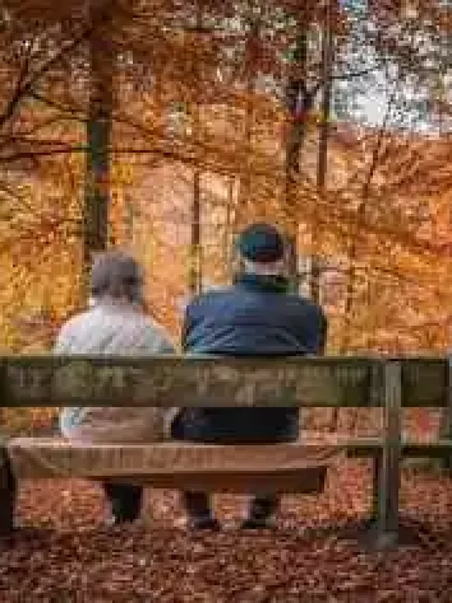 Pension and Provident Fund Investment and Resturning (5)